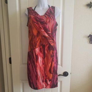 Simply Vera Wang Fire Dress